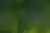 hsp_nachhaltigkeit-2